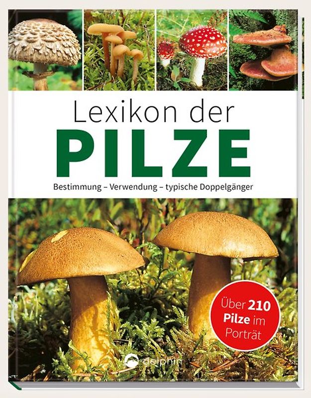 Lexikon der Pilze - Bestimmung, Verwendung, typische Doppelgänger