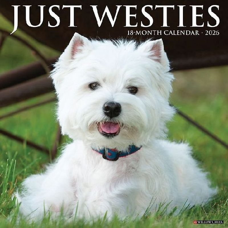 Westies 2026 12 X 12 Wall Calendar