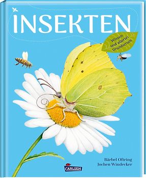 Insekten – Wissen und allerlei Drumherum