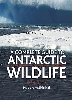 A Complete Guide to Antarctic Wildlife