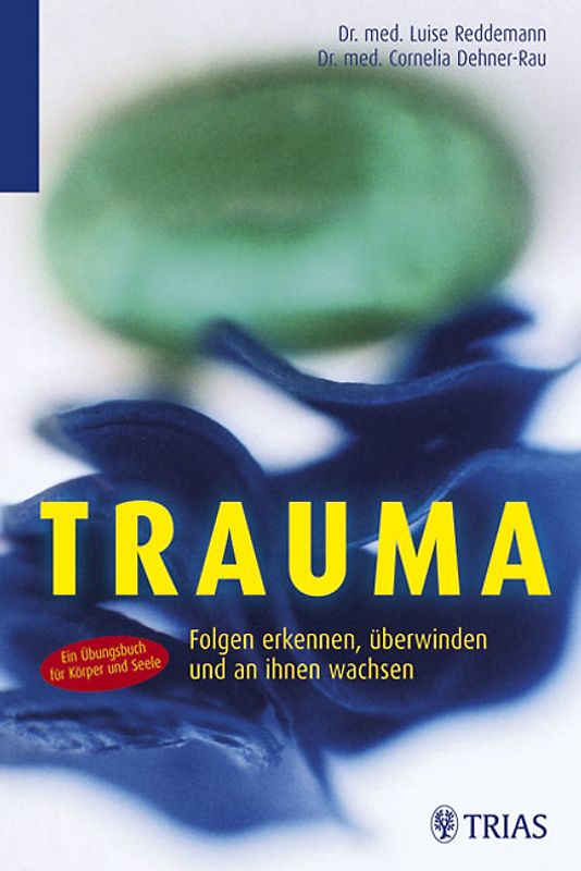 Trauma: Folgen erkennen, überwinden und an ihnen wachsen