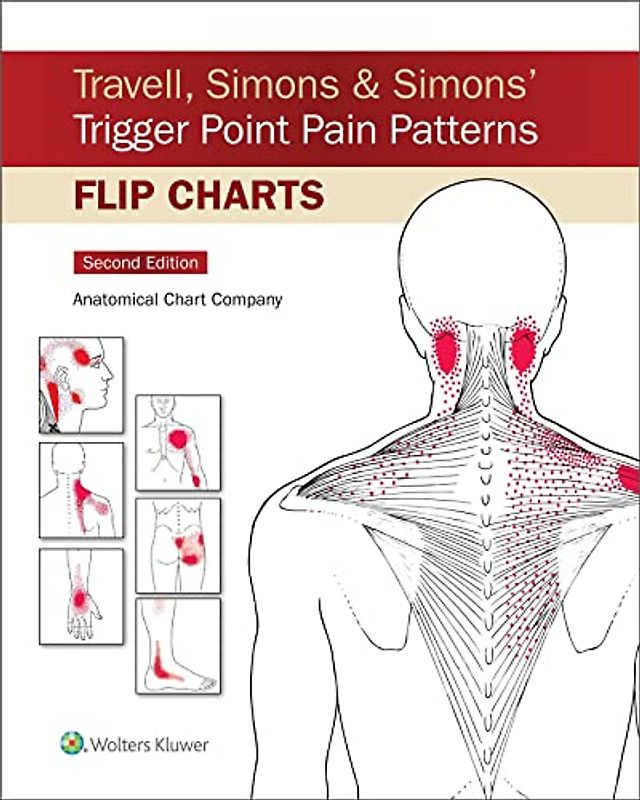 Travell, Simons & Simons' Trigger Point Pain Patterns Flip Charts