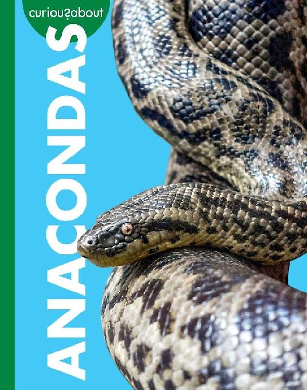 Curious about Anacondas