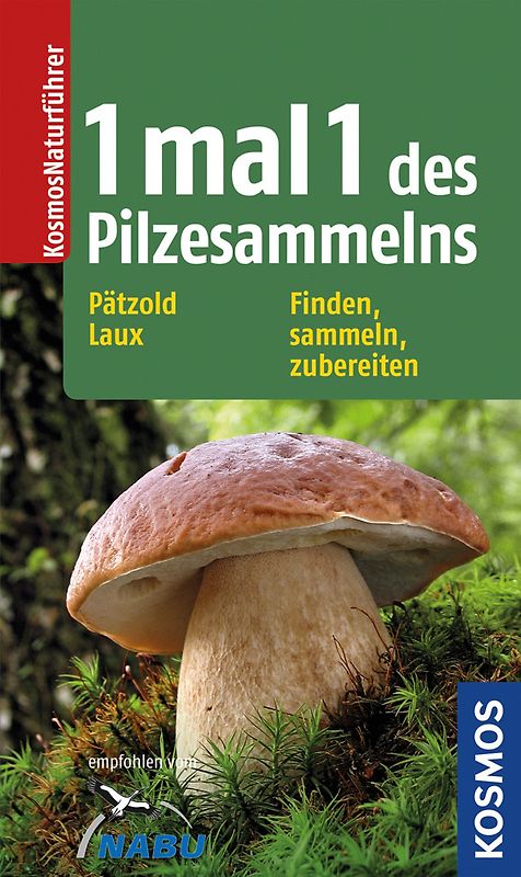 1 mal 1 des Pilzesammelns