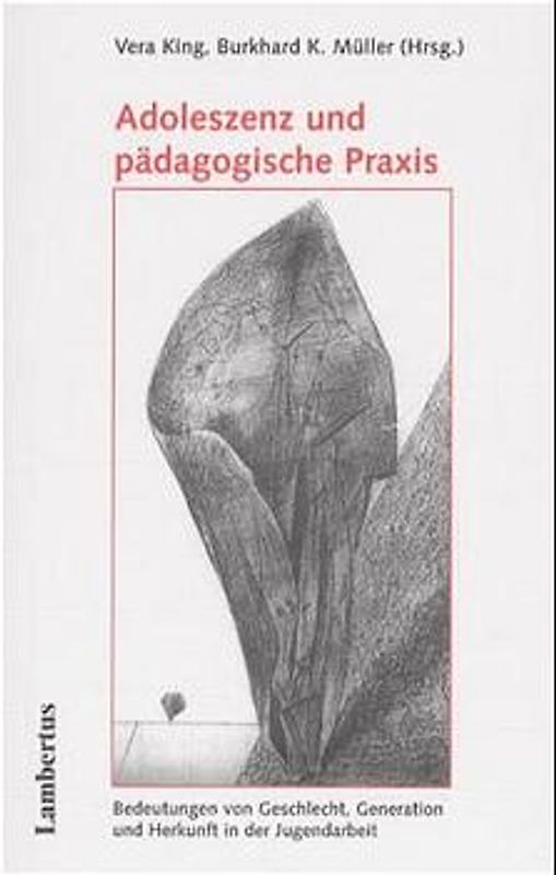 Adoleszenz und pädagogische Praxis