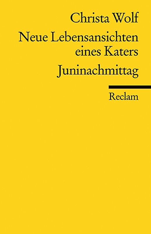 Neue Lebensansichten eines Katers. Juninachmittag