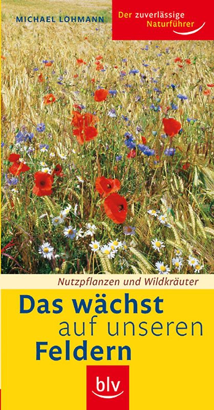 Das wächst auf unseren Feldern