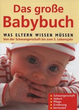 Das große Babybuch - Was Eltern wissen müssen. Von der Schwangerschaft bis zum 3. Lebensjahr - Gabriele Grünebaum