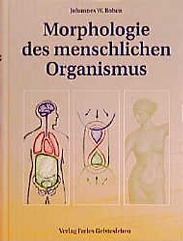 Morphologie des menschlichen Organismus