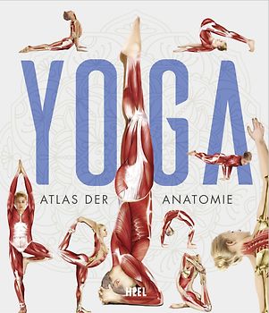 YOGA - Atlas der Anatomie