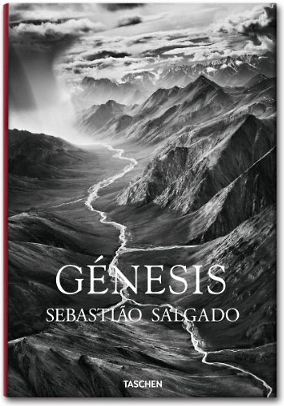 Salgado, Genesis - Leila Wanick Salgado