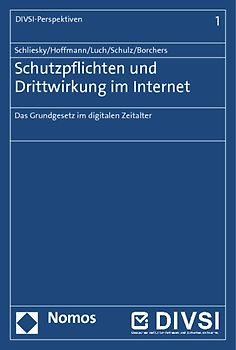 Schutzpflichten und Drittwirkung im Internet