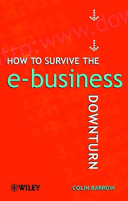 How to Survive the E-Business Downturn