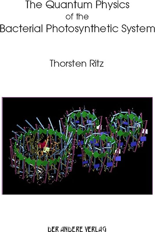 The Quantum Physics of thr Bacterial Photosynthetic System