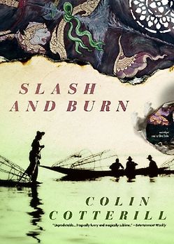 Slash and Burn (The Dr. Siri Investigations, Band 8)