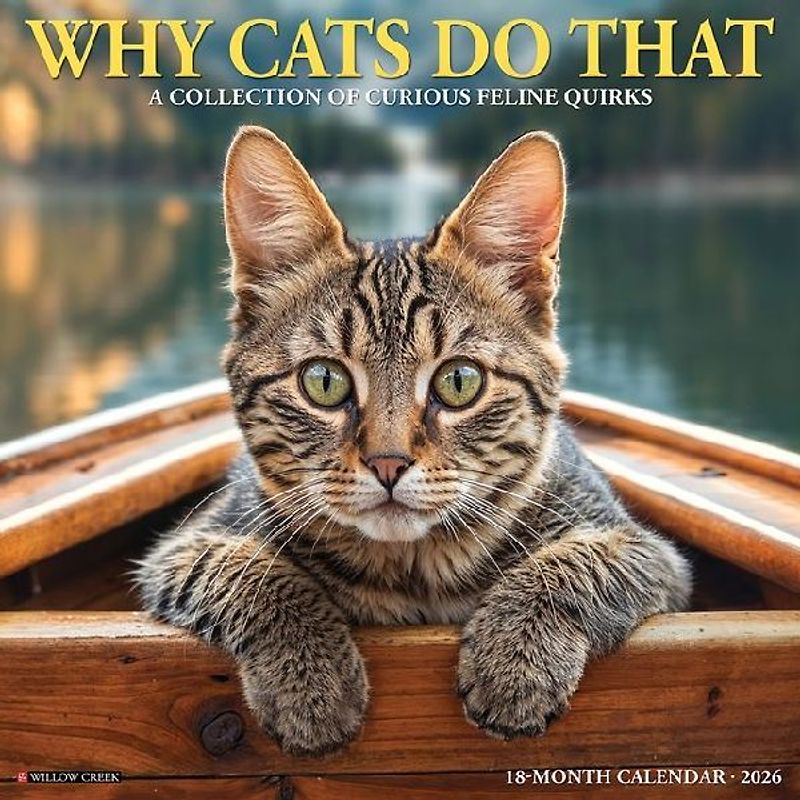 Why Cats Do That 2026 12 X 12 Wall Calendar