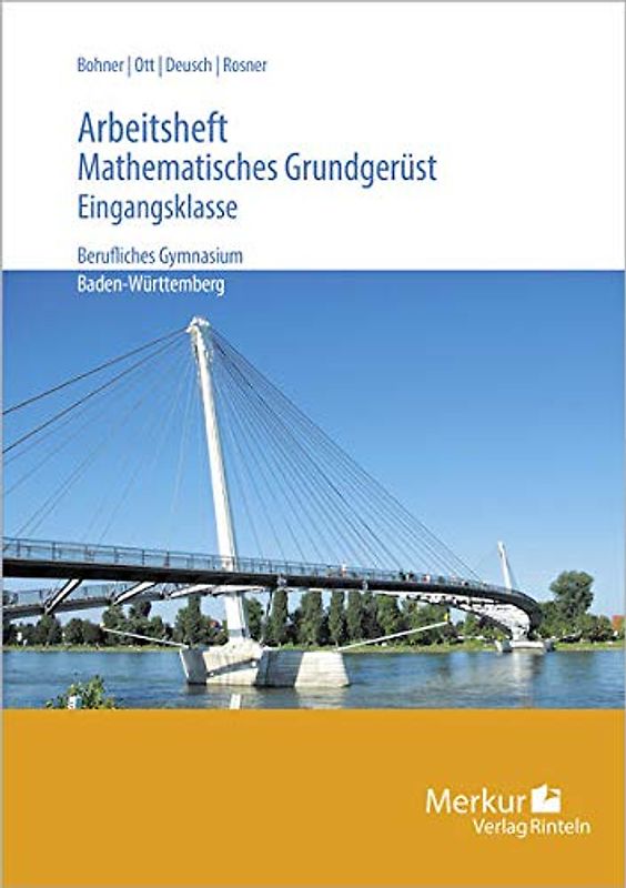Mathematisches Grundgerüst - Ein Mathematikbuch für die Eingangsklasse. Arbeitsheft