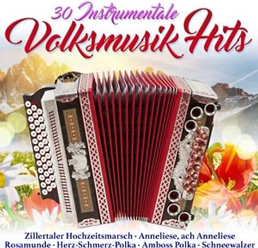 Various - 30 instrumentale Volksmusik Hi [2 CDs]