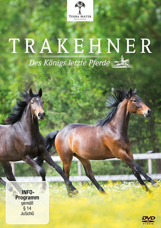 Trakehner - Des Königs letzte Pferde DVD