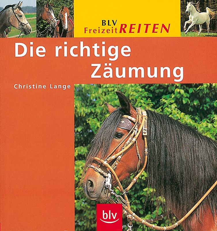 Die richtige Zäumung