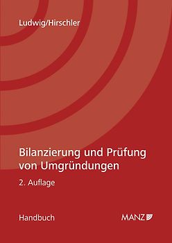 Bilanzierung und Prüfung von Umgründungen