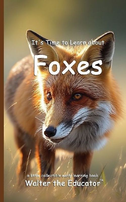It's Time to Learn about Foxes