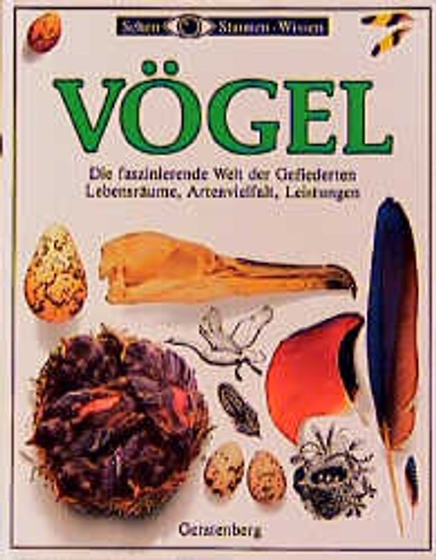 Vögel