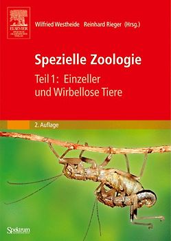 Spezielle Zoologie. Teil 1: Einzeller und Wirbellose Tiere