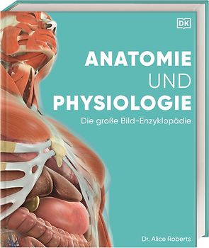 Anatomie und Physiologie