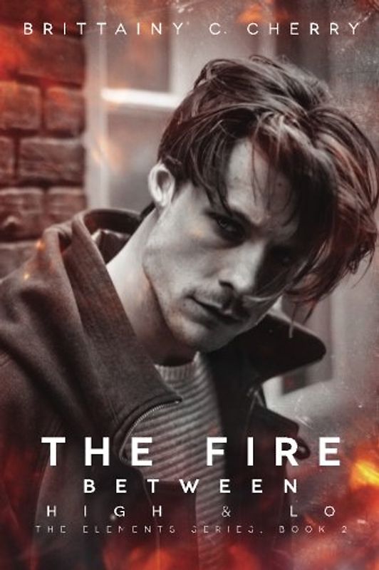 The Fire Between High & Lo (THE ELEMENTS SERIES, Band 2)