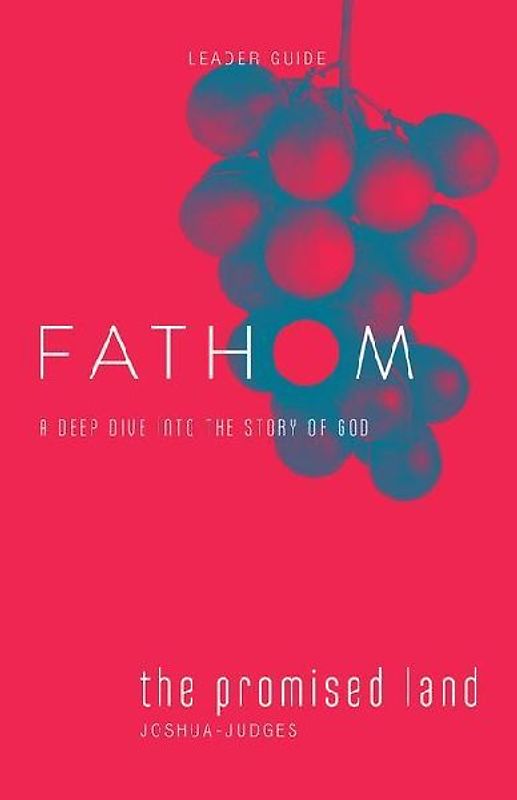 Fathom Bible Studies: The Promised Land Leader Guide (Joshua-Judges)