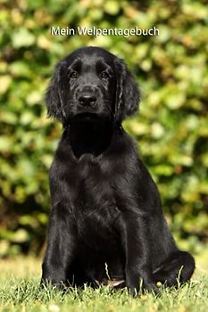 Mein Welpentagebuch: die ersten Monate mit meinem Flat Coated Retriever (Flat Coated Retriever- alle Bücher: Trainingstagebuch, Krankenakte, BARF Planer und Welpentagebuch, Band 4)