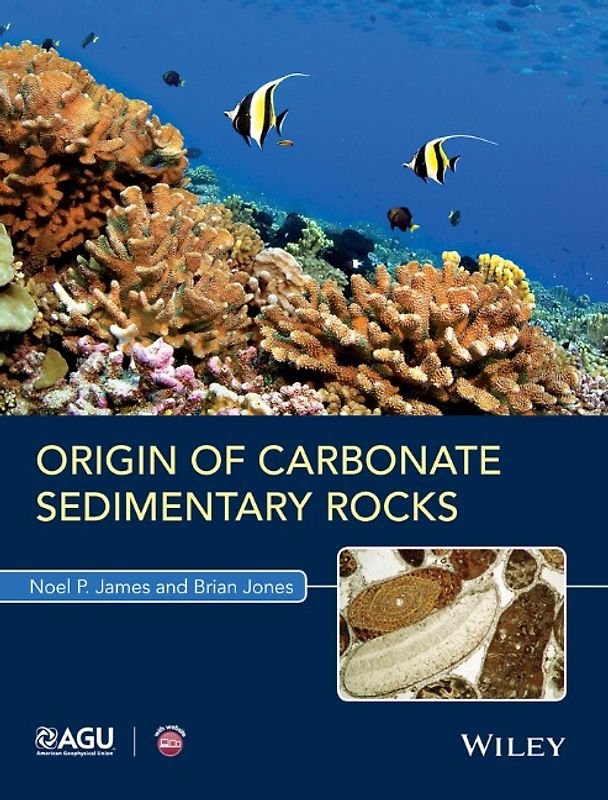 Origin of Carbonate Rocks