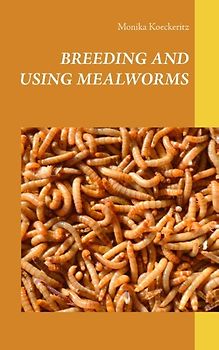 Breeding and using mealworms