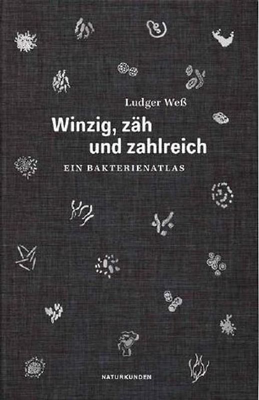 Winzig, zäh und zahlreich