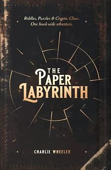 The Paper Labyrinth: A Book-wide Puzzle Solving Adventure (The Paper Labyrinth Series)