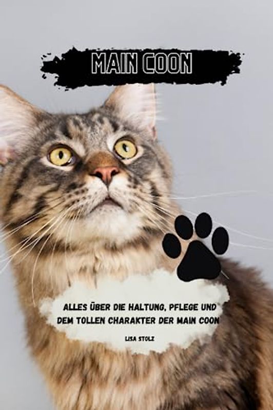 Main Coon: Alles über Pflege, Haltung und den tollen Charakter der Ragdoll Katze