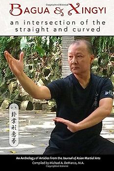 Bagua and Xingyi: An Intersection of the Straight and Curved