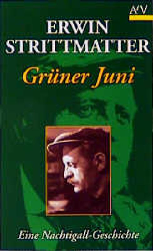 Grüner Juni. Eine Nachtigall-Geschichte