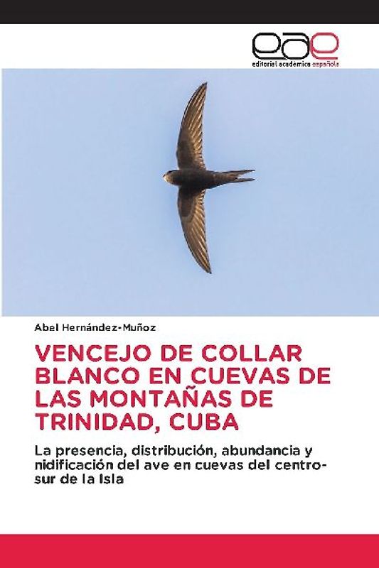 VENCEJO DE COLLAR BLANCO EN CUEVAS DE LAS MONTAÑAS DE TRINIDAD, CUBA