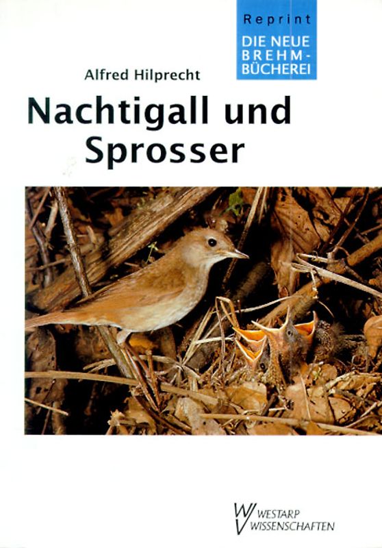 Nachtigall und Sprosser