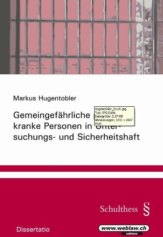 Gemeingefährliche psychisch kranke Personen in Untersuchungs- und Sicherheitshaft