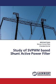 Study of SVPWM based Shunt Active Power Filter
