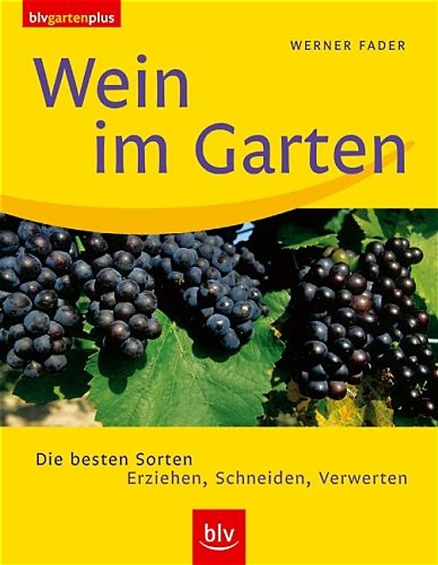 Wein im Garten
