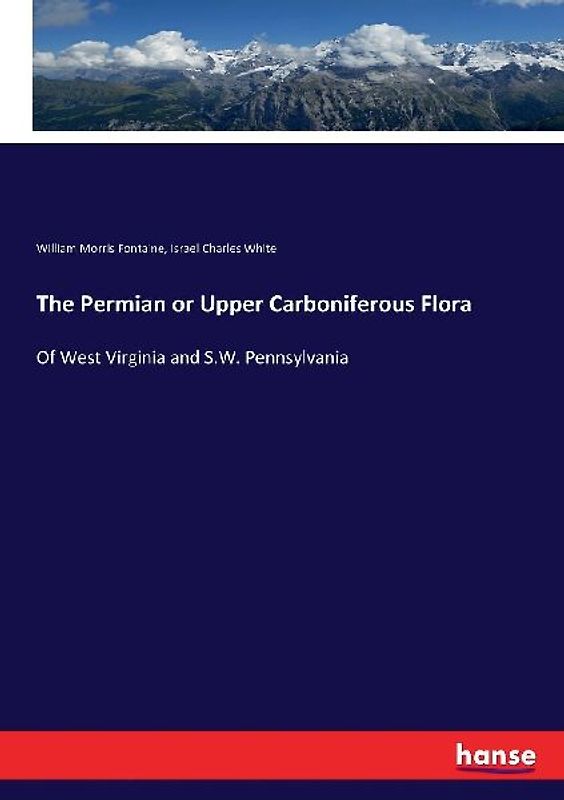 The Permian or Upper Carboniferous Flora