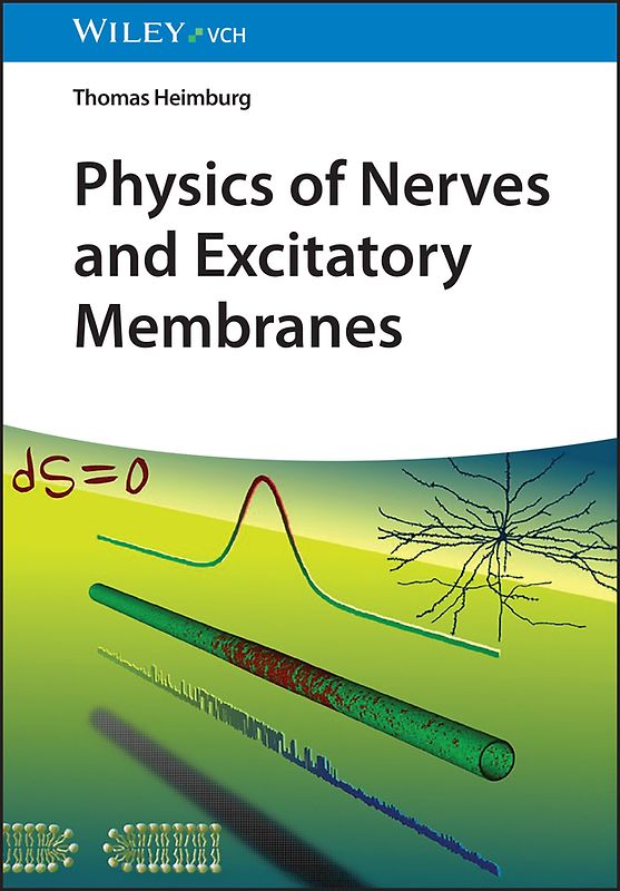 Physics of Nerves and Excitatory Membranes