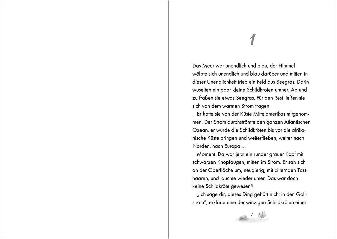 Das große Buch vom Licht - Ulrich Kilian