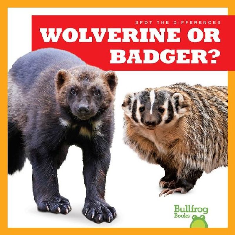 Wolverine or Badger?