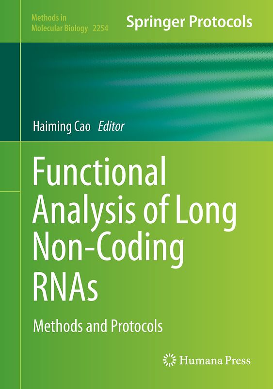 Functional Analysis of Long Non-Coding RNAs