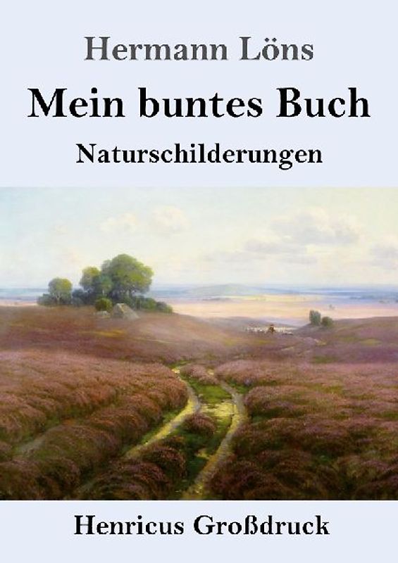 Mein buntes Buch (Großdruck)